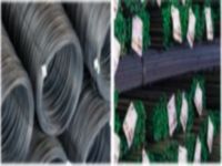 HOT ROLLED REINFORCEMENT BARS IN LONG/COIL FORM